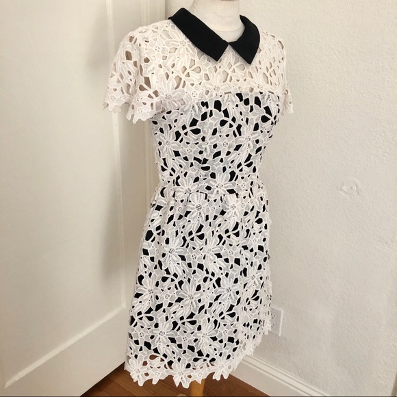 EUC Aqua Capsule Lace Dress w/Collar Size M - Picture 1 of 5
